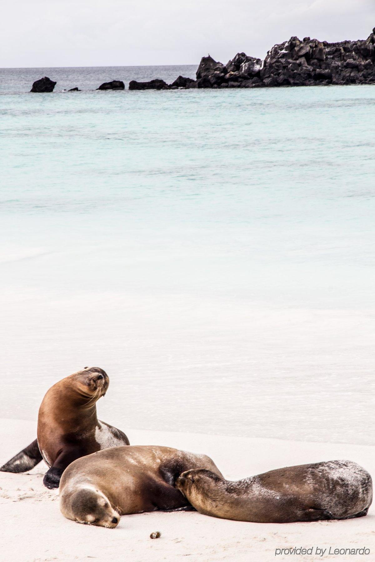 Finch Bay Galapagos Hotel Puerto Ayora  Kültér fotó